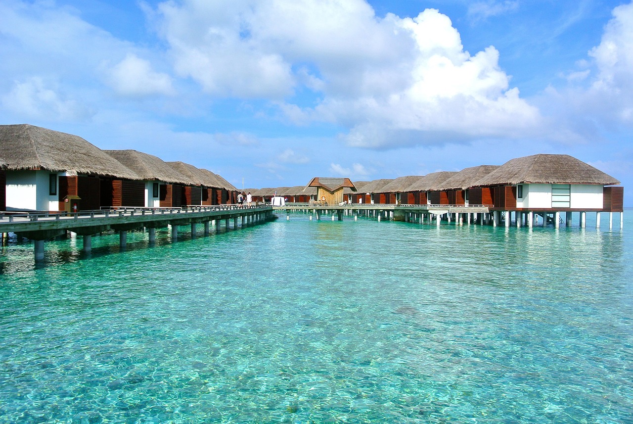 Vibrant coral reefs teeming with marine life in the Maldives.